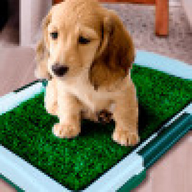 Tava pentru animale cu iarba